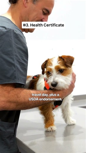 October is National Pet Wellness Month. 🐾