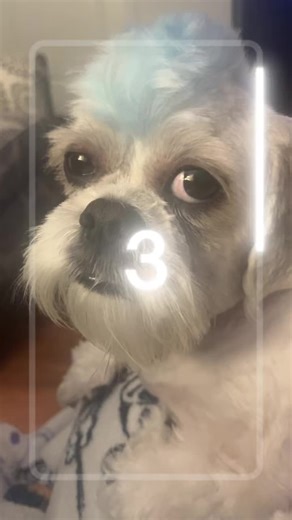 Cassie Cook on TikTok