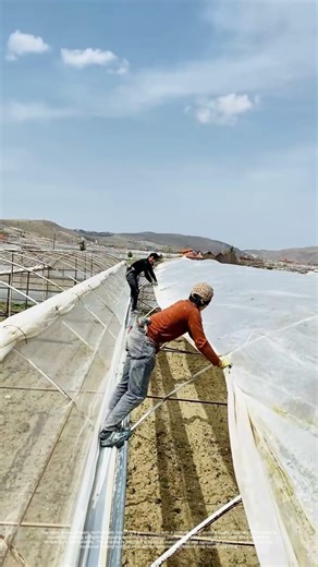 Securing the Shield: How Greenhouse Film Protects Crops