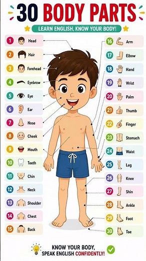 30 Body Parts in English | Learn English Vocabulary Fast 🧍📚