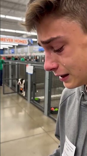 Teen Reunites With Shelter Dog at Adoption Event