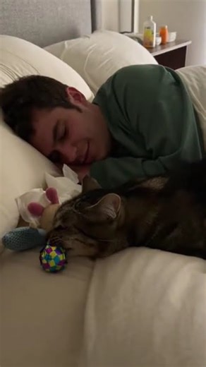 🐱 What this cat did next to its sick owner will break you... #cat #cute #puppy #animals #funny
