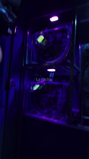 Activa la racha - cómo activar la racha en TikTok