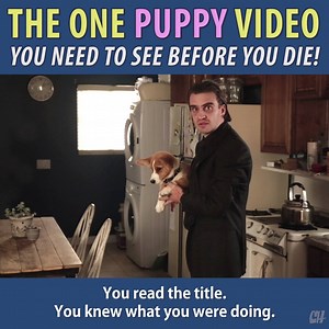 Seriously. | CollegeHumor