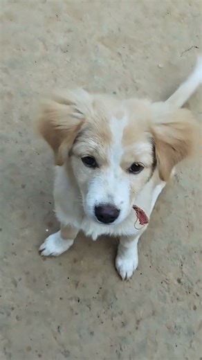 আমি তোমার প্রেমে পড়ে দুনিয়া ভুলে গেছি 😍🥰