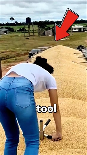This Simple Tool Decide If The Grain Is Safe