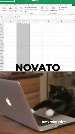 ¿Quieres aprender a realizar gráficos y tablas dinámicas?