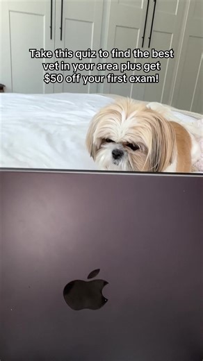 A new era of pet care begins on 10/16! 🐾 Our vet-owned clinic is opening soon, bringing compassionate, modern care to your community. From wellness to urgent visits, we’re here for every stage of your pet’s life. Book your pet’s first exam get $50 off your first appointment — be among the first to meet your neighborhood veterinary team! | GoodVets