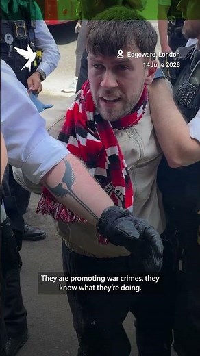 Jewish man arrested at pro-Palestine protest