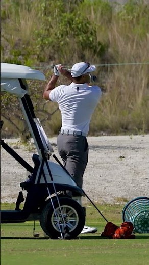 Full swing Woods 🐅