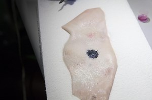 MIT Has Created a Biosensing, Color Changing Tattoo Ink