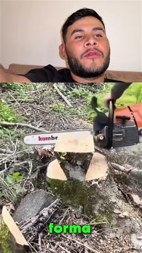 It's that easy to make a chair or table from a tree stump! 😱