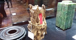 À Hong Kong, la dernière bataille des arbres à encens