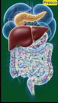 What Happens Inside the Body With Diabetes? | Stunning 3D Medical Animation Explained