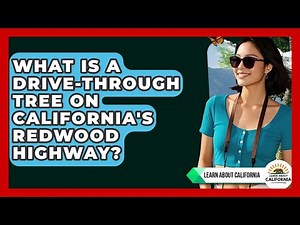 What Is A Drive-through Tree On California's Redwood Highway? - Learn About California
