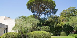 Marc Chagall Museum in Nice | Provence-Alpes-Côte d'Azur Tourism