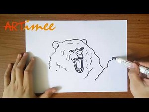 How to Draw a Grizzly Bear