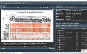WGCNA教程演示及代码报错处理_1