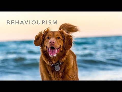 Behavioristiska Perspektivet