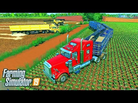 FS19 | #5 COSECHAN VARIOS TERRENOS Y NUEVO TRAILER Y CAMION