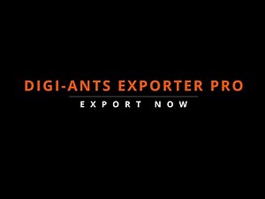 Exporter Pro - 4 - Export NOW