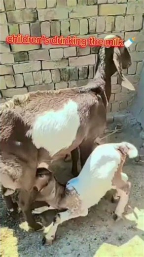 please everyone sports me 😭😭😭😭