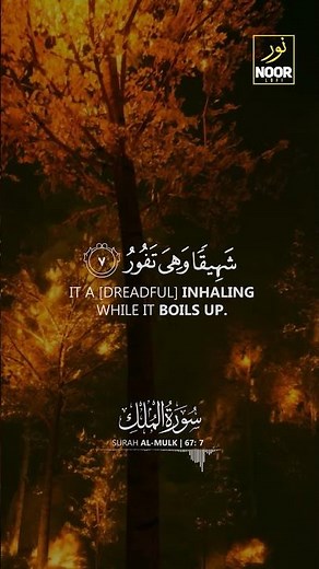 Surah Al-Mulk | A Peaceful Quran Experience