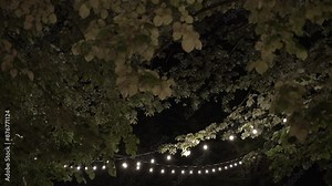 Twinkling string lights under lush foliage at night creating a serene ambiance.