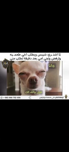 مرحبا مليون دولار أمريكي مرحبا مليون دولار أمريكي مرحبا مليون دولار أمريكي مرحبا مليون دولار أمريكي