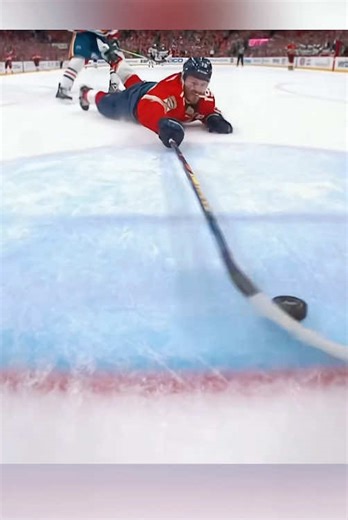 Best Ice Hockey Goalie Saves Compilation