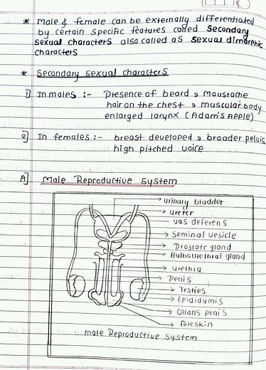 Biology notes:- Class 12 Reproduction in lower & Higher organisms📝 part (1)