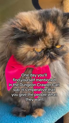 An accident lead my Person to find me mentioned in the DCC subreddit, and after a very short hesitation, we jumped right in! Thus my double life began: Amber the Irish Persian to many, Première Princess Donut Cosplayer to a few (and counting). It has been glorious! I have LOVED making content for a growing crawler audience, persuading some newbies into the Princess Posse and even being a muse for fan art and tattoos (there’ll be no white hair Donuts on *my* watch 😾) I love it here - Amber Dunge