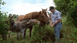 Wild Animal Rescuer Prepares For Potential Flooding In Lavaca