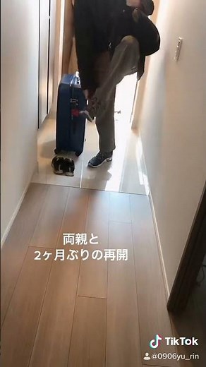 【検証】お母さんにゴキブリドッキリしたらどんな反応する！？😂😂😂/【TikTok Japan🇯🇵】【ゆーり】#shorts