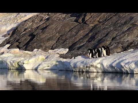 Voyage en Antarctique -