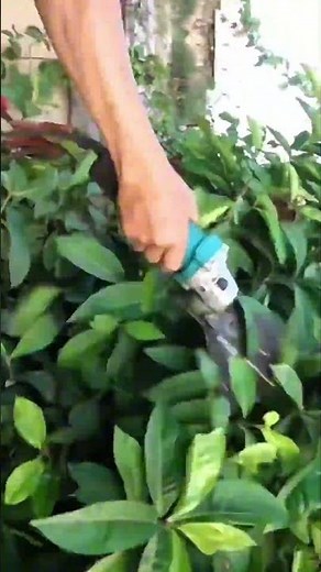 How to Use Angle Grinder Beginner’s Guide to Testing, Cutting, and Grinding Steel at Home #machine