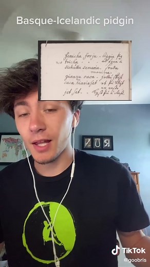 Understanding the Basque-Icelandic Pidgin Language