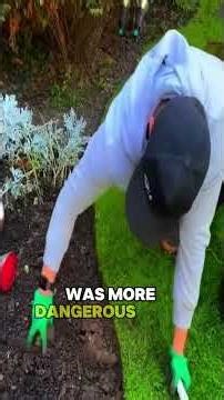 They Weren’t Trespassing, They Were Surviving: What Would You Do in This Barn Find? #cuttinggrass