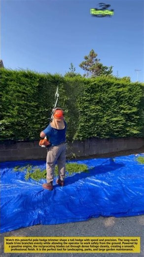 This Pole Hedge Trimmer Makes Giant Hedges Look Perfect! 🌿✂️