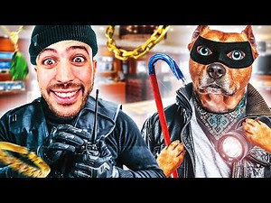 MON CHIEN BRAQUE UNE BIJOUTERIE !