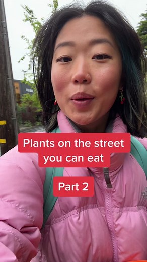 Foraging Edible Garden Nasturtiums on the Street: A Delicious Discovery!