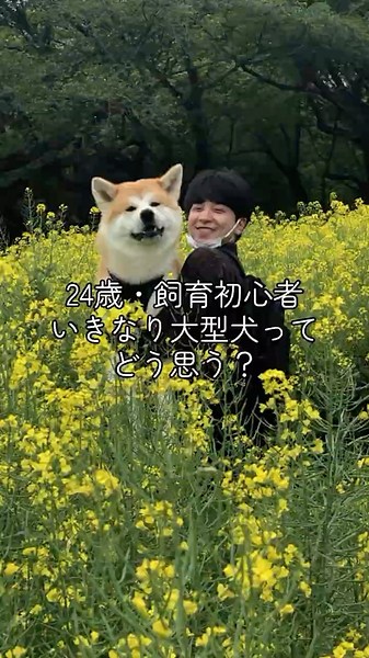 24歳・飼育初心者でいきなり大型犬ってどう思う？