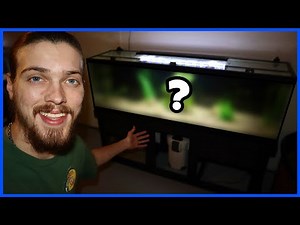 Setting Up My 125 Gallon AQUARIUM in the NEW FISH ROOM!