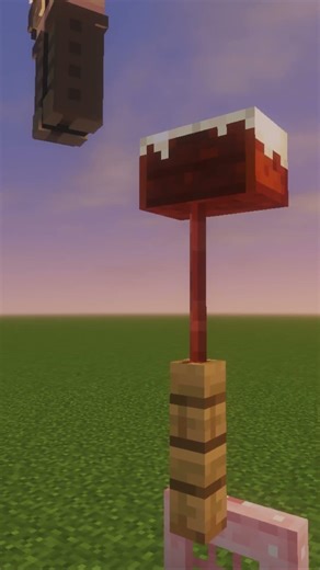 Coolest thing you can build in #minecraft #troll #funny