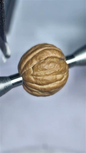 Repeat customer purchase; Monkey Head is testing the machine before shipping #MonkeyHeadBr