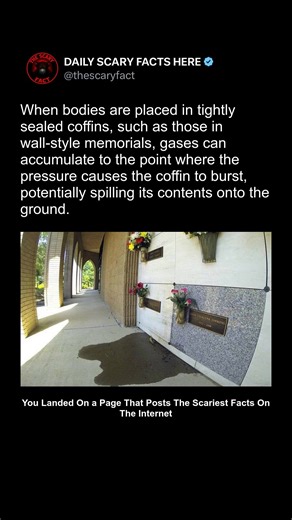 Thescaryfact ™ on Instagram: "In rare but unsettling cases, tightly sealed coffins — especially those placed in mausoleums or wall-style memorials — can become dangerous due to internal gas buildup. As a body decomposes, natural gases are released, and when they have nowhere to escape, pressure can build inside the coffin. Eventually, this can cause the container to rupture or even explode, sometimes spilling its contents onto surrounding areas. These events are more likely in sealed environment