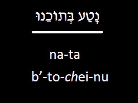 Prayer-eoke: Blessing After Reading The Torah (Aliyah)
