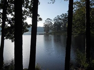 Paul B. Johnson State Park Camping Hattiesburg, Mississippi