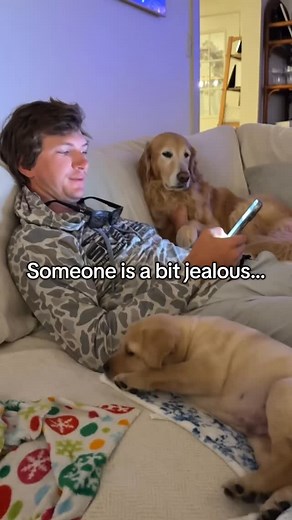 She knows she rules this house.. | Lauren Hawkins