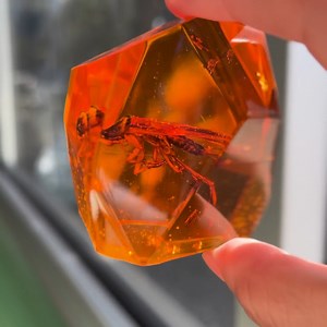 Want to own a Williams Street cockroach? Dropping tomorrow at 12p EST | Adult Swim